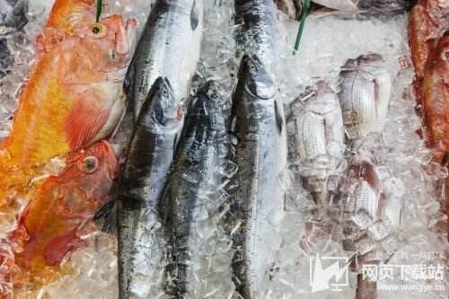 烟台进口冻海鲜外包装呈阳性 烟台企业进口冷冻海鲜外包装检测阳性