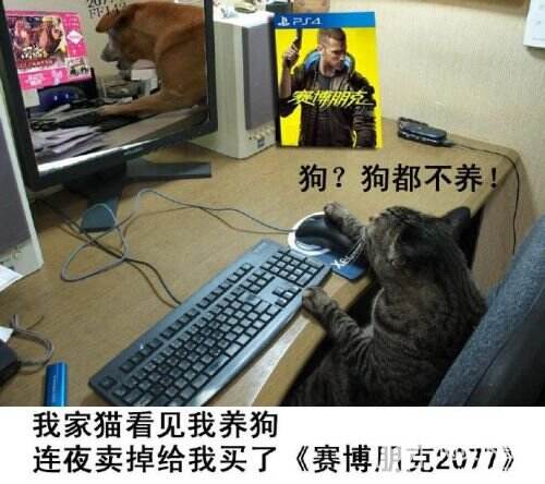 2077破了Steam单机游戏在线纪录,但玩家间也传来了哀嚎声