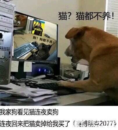 2077破了Steam单机游戏在线纪录,但玩家间也传来了哀嚎声